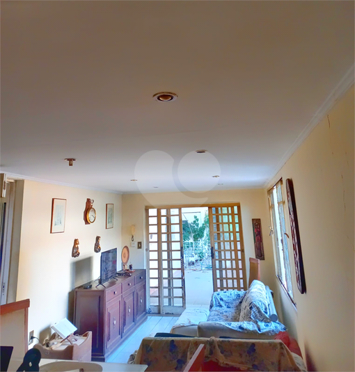Foto REO1000576
