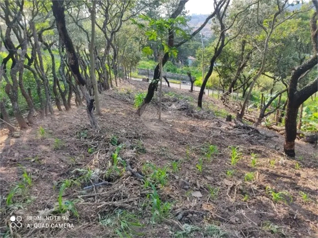 Venda Terreno Várzea Paulista Vila Souza REO1000655 7