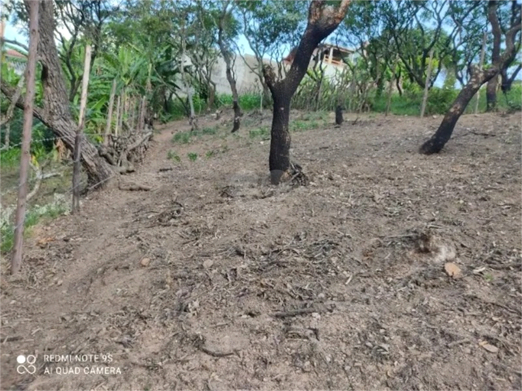 Venda Terreno Várzea Paulista Vila Souza REO1000655 9