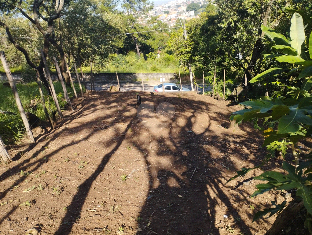 Venda Terreno Várzea Paulista Vila Souza REO1000655 5