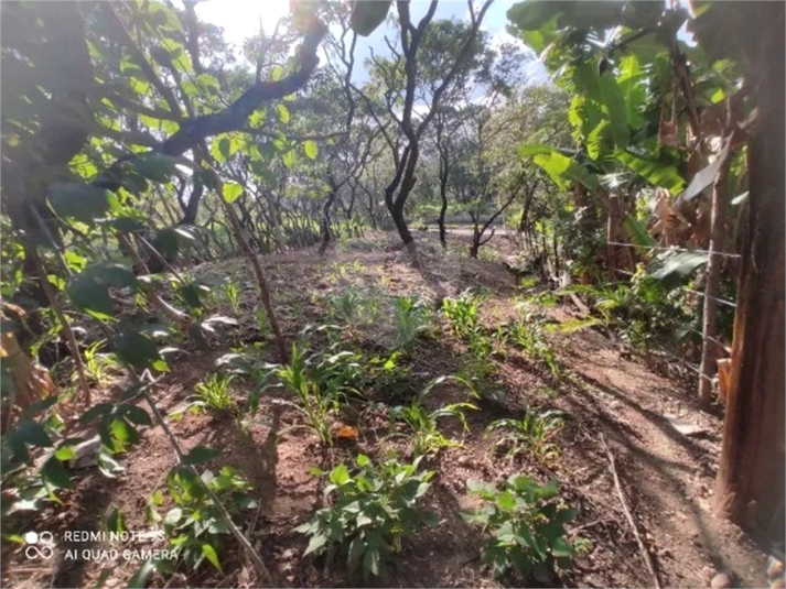 Venda Terreno Várzea Paulista Vila Souza REO1000655 6