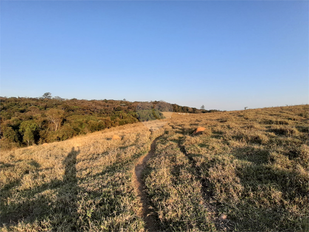 Venda Área de Terra Jarinu Pinhal REO1000729 11