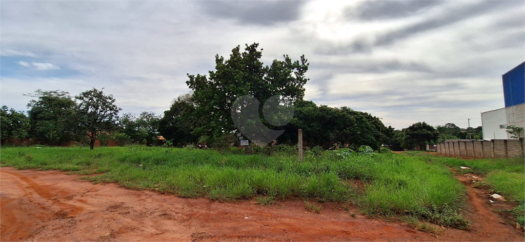 Venda Terreno Campo Grande Jardim Nossa Senhora Do Perpétuo Socorro REO1000984 4