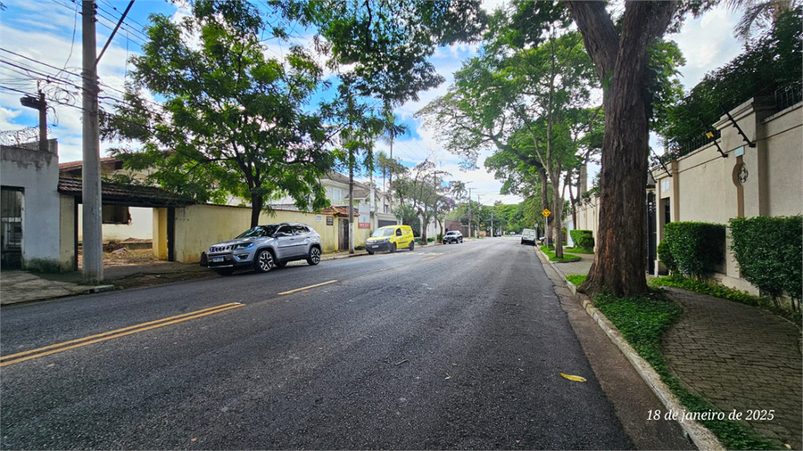 Foto REO1001259