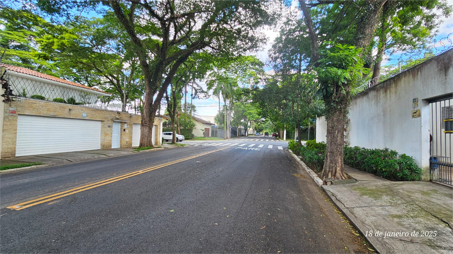 Foto REO1001259