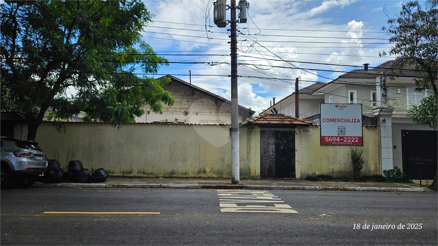 Foto REO1001259