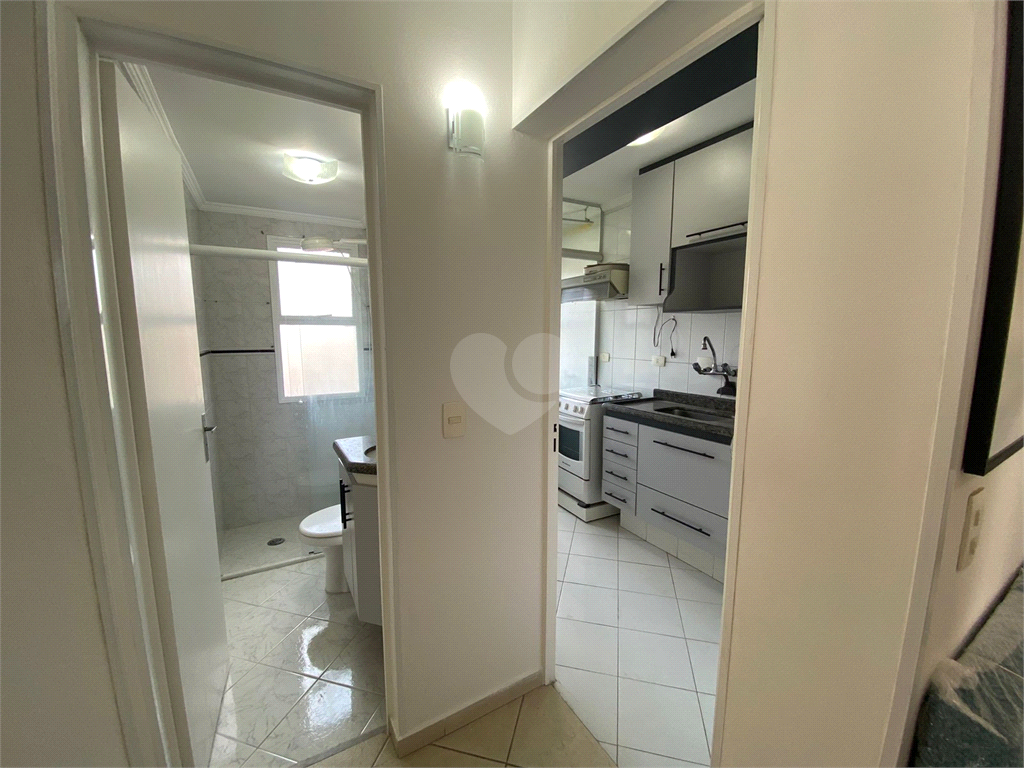 Aluguel Apartamento São Paulo Barra Funda REO1001594 17