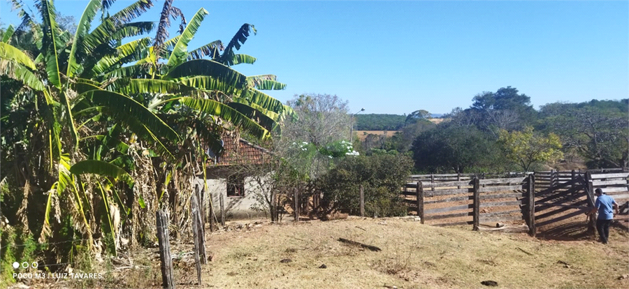 Foto REO1001733