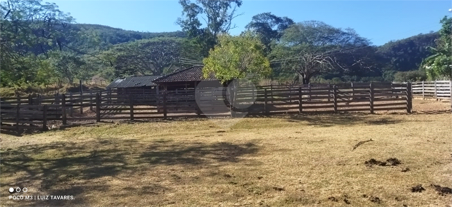 Foto REO1001733