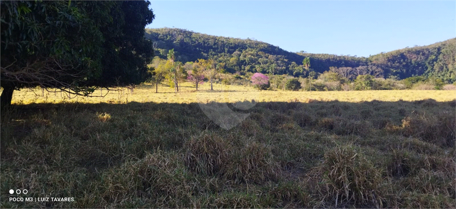 Foto REO1001733