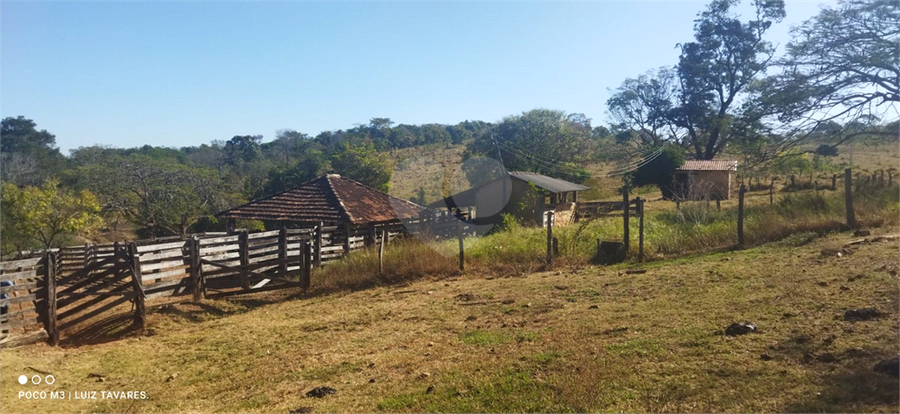 Foto REO1001733