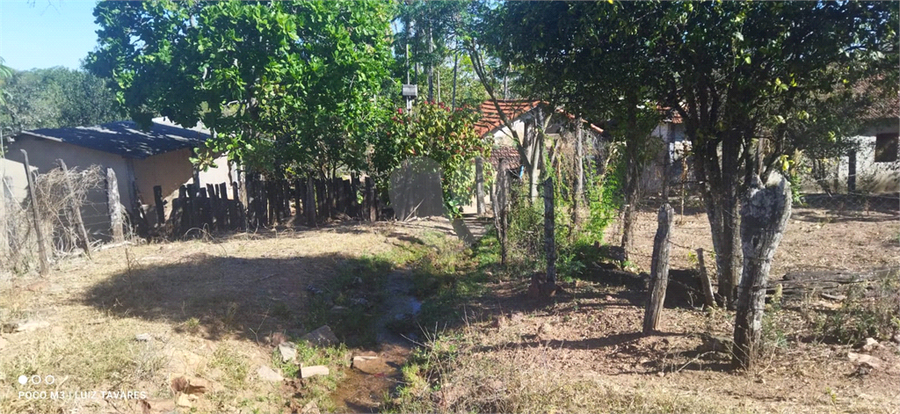 Foto REO1001733