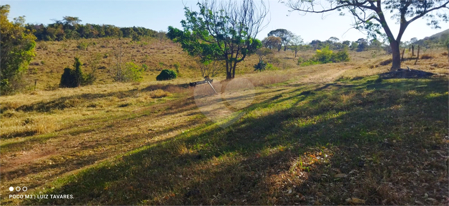 Foto REO1001733