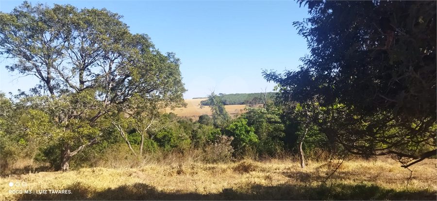 Foto REO1001733