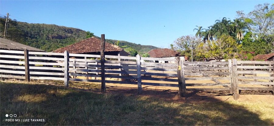 Foto REO1001733