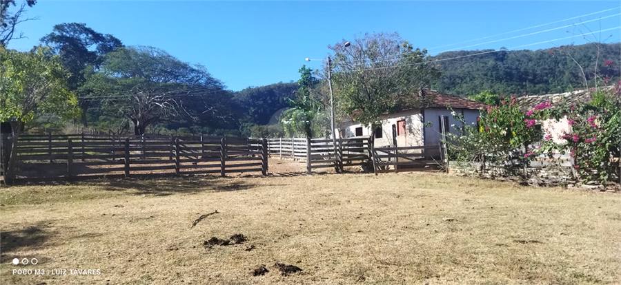 Foto REO1001733