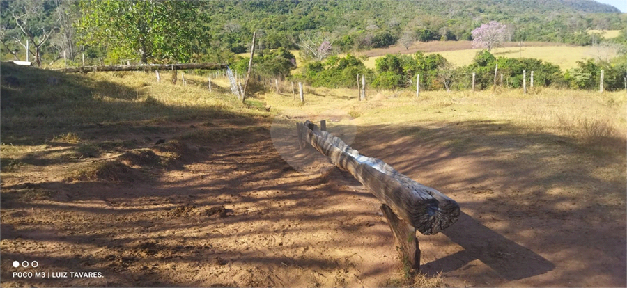Foto REO1001733
