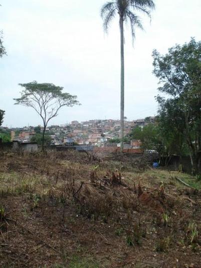 Venda Terreno Guarulhos Sítio São Francisco REO100200 10