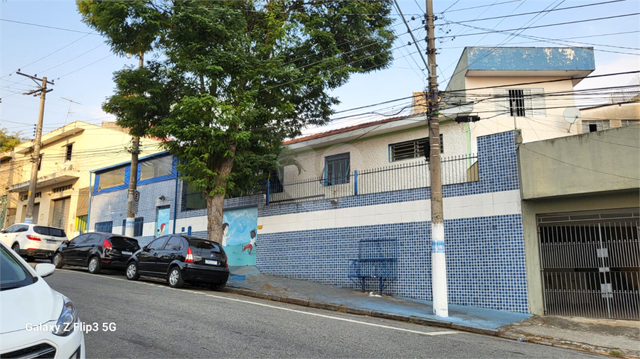 Foto REO1002151