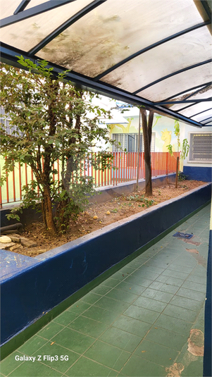 Foto REO1002151