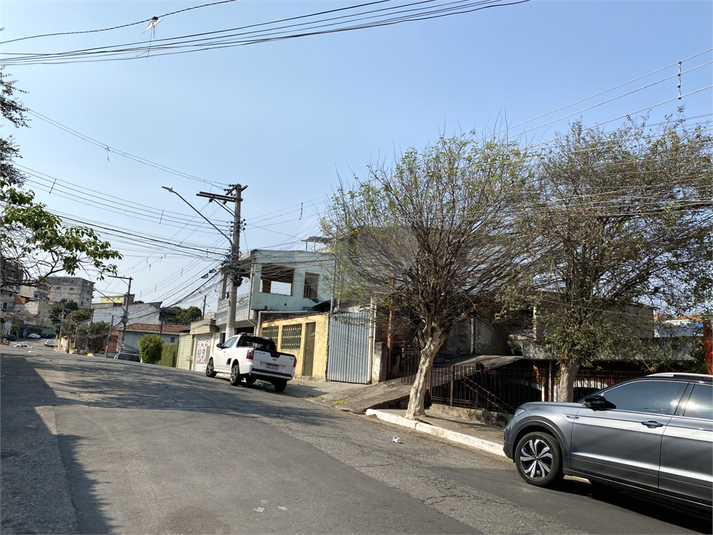 Foto REO1002227