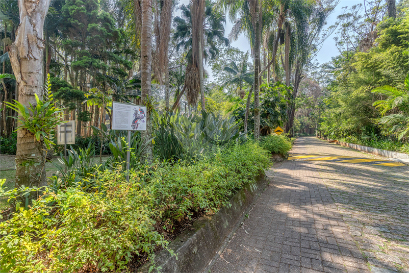 Foto REO1002266