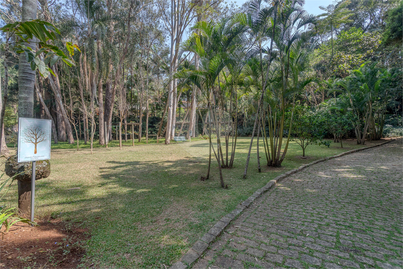 Foto REO1002266