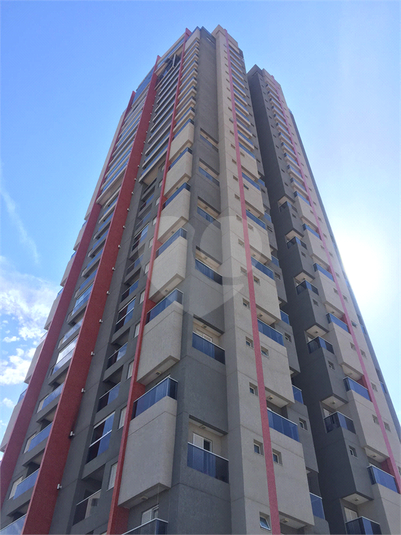 Venda Apartamento Indaiatuba Vila Sfeir REO1002425 1