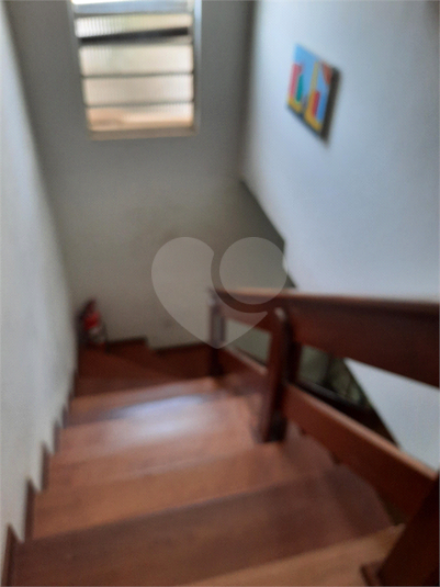 Foto REO1002426