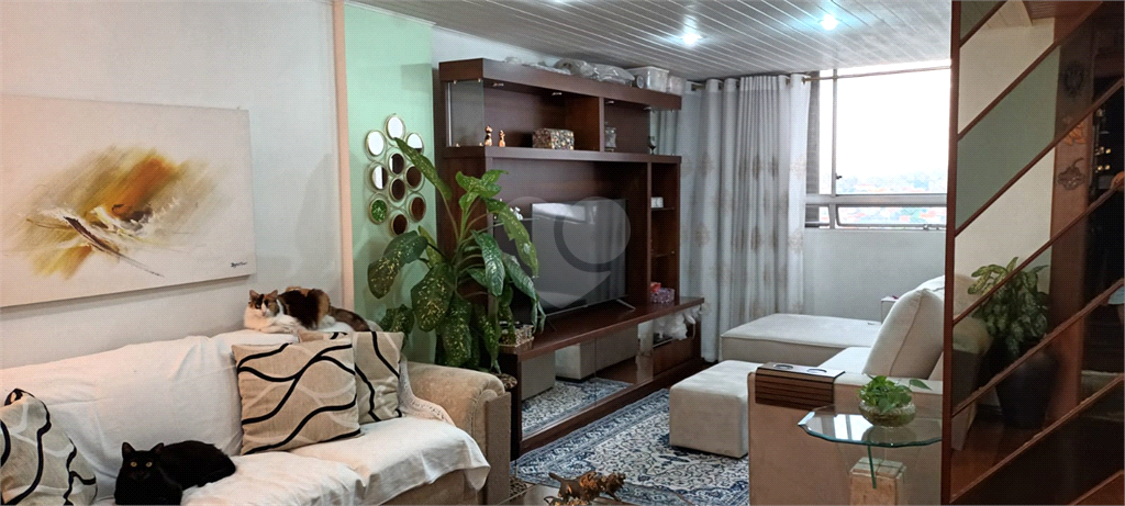 Venda Apartamento São Paulo Vila Diva (zona Norte) REO1002466 1