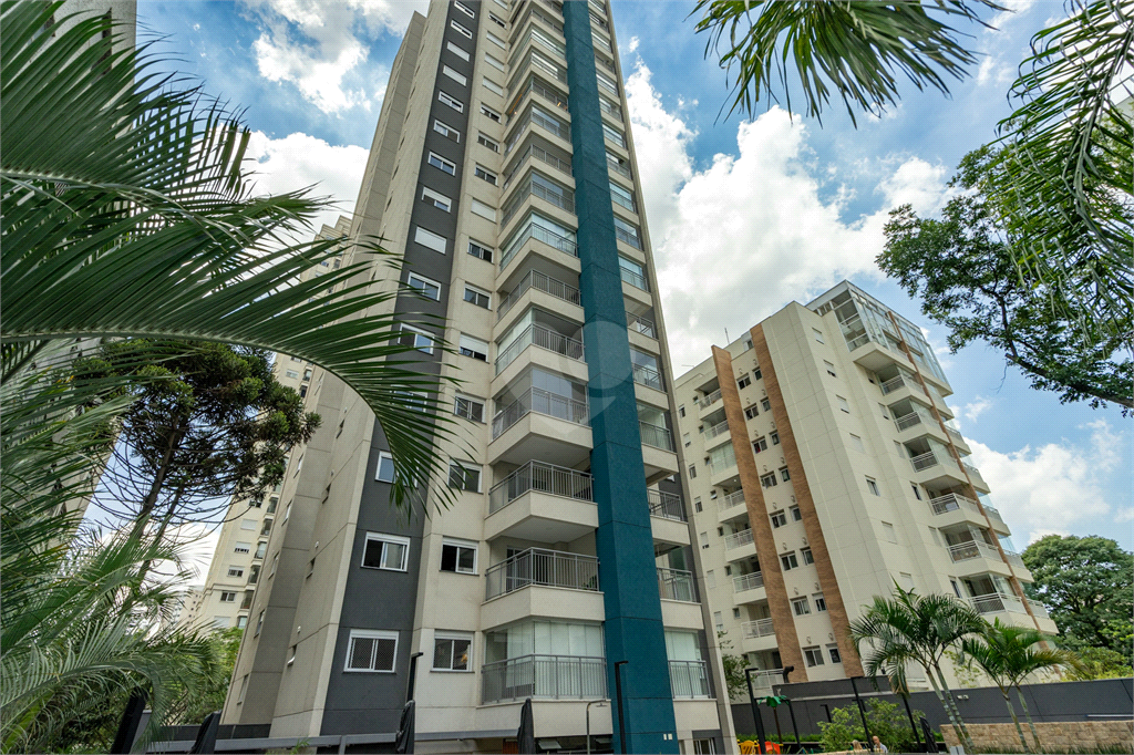 Venda Apartamento São Paulo Vila Santa Catarina REO1002572 37