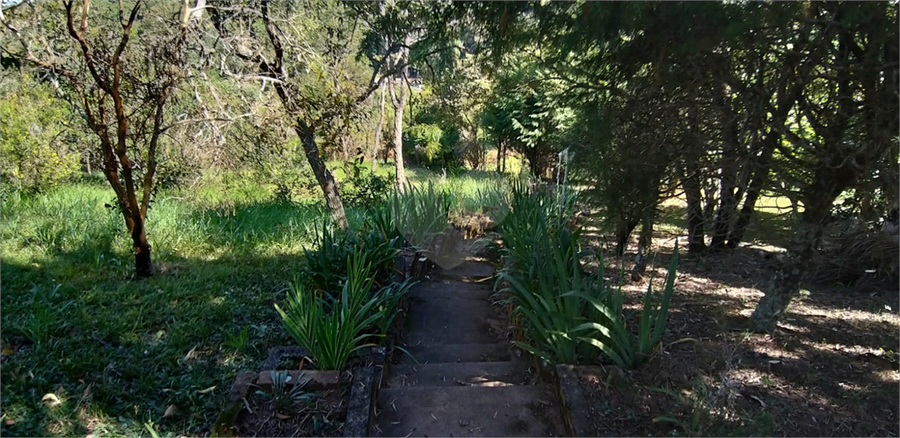 Foto REO1002727