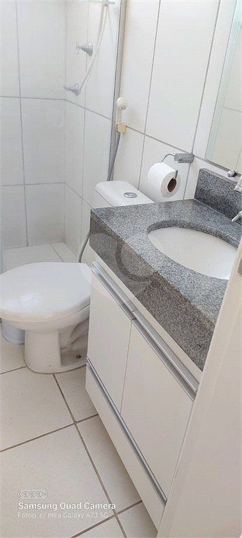 Aluguel Apartamento Bauru Jardim Terra Branca REO1002839 9