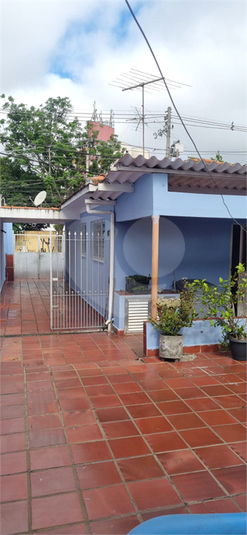 Foto REO1003317