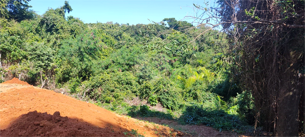 Venda Loteamento Guarapari Praia Do Morro REO1003370 9