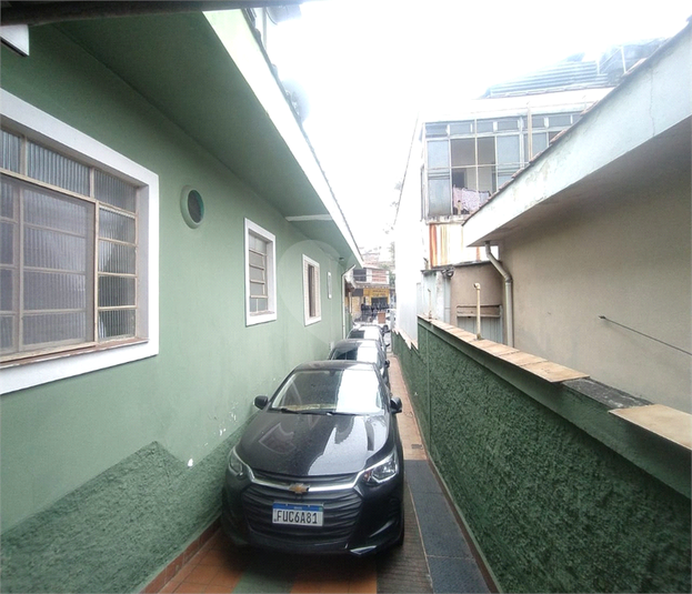 Foto REO1003388
