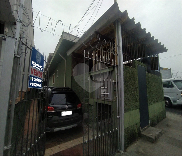 Foto REO1003388