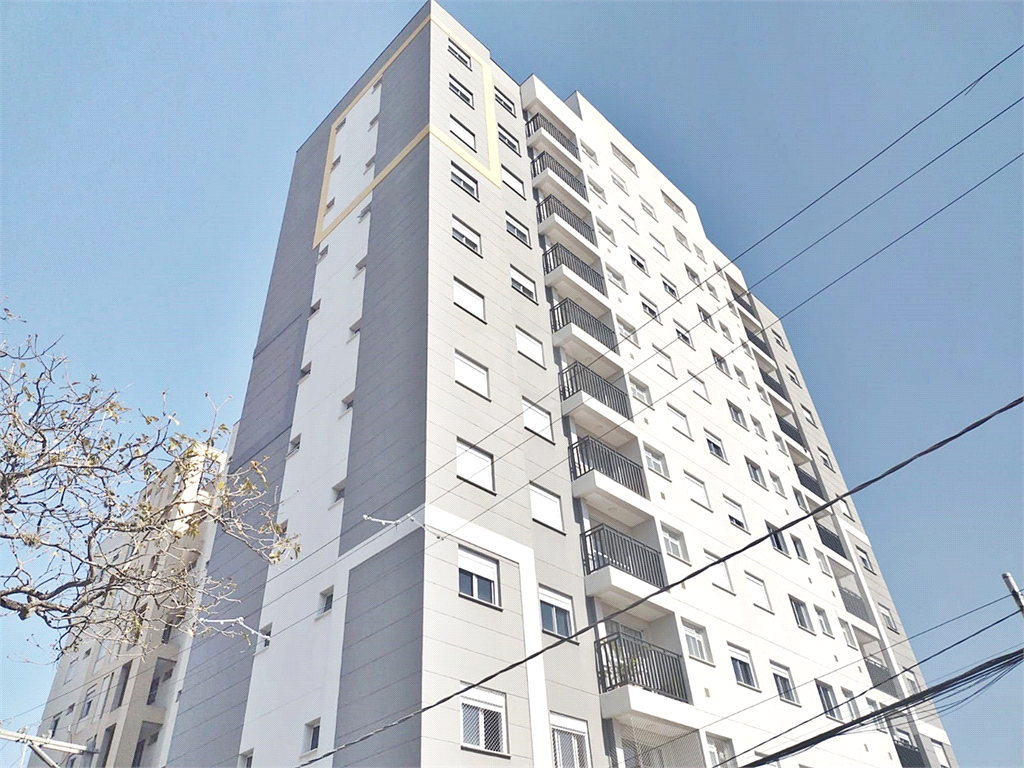 Aluguel Apartamento São Paulo Tucuruvi REO1003829 22