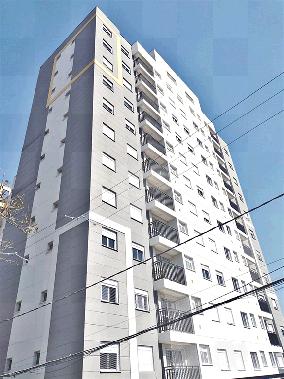 Aluguel Apartamento São Paulo Tucuruvi REO1003829 21