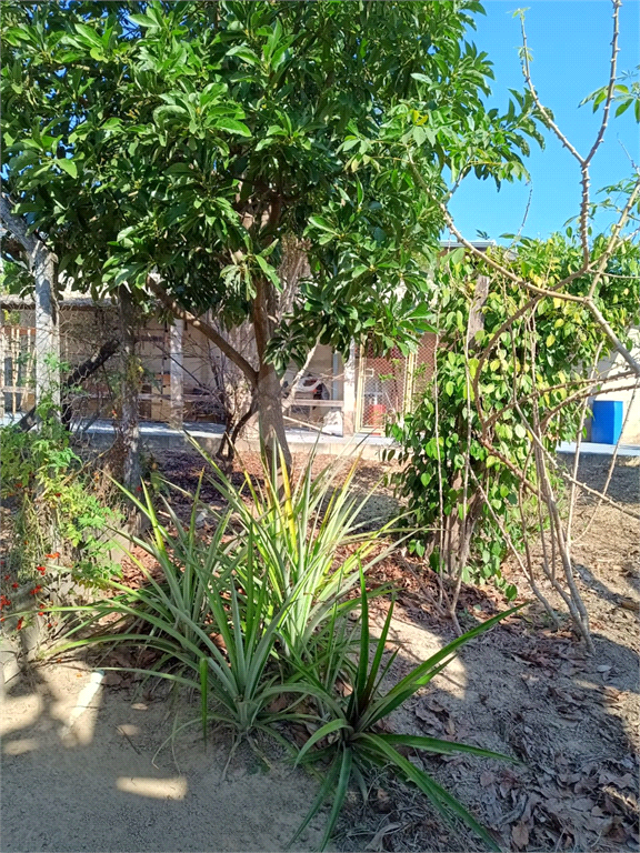 Venda Chácara Indaiatuba Recanto Campestre Internacional De Viracopos Gleba 4 REO1003867 4