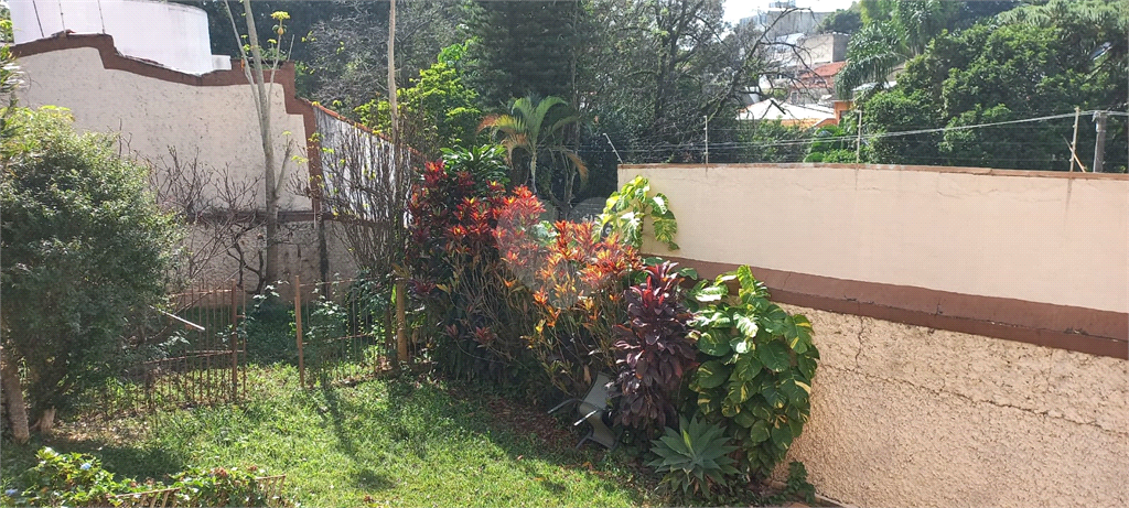 Venda Casa térrea São Paulo Alto Da Lapa REO1004061 5