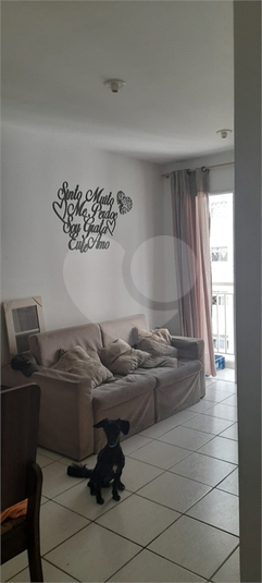 Foto REO1004220