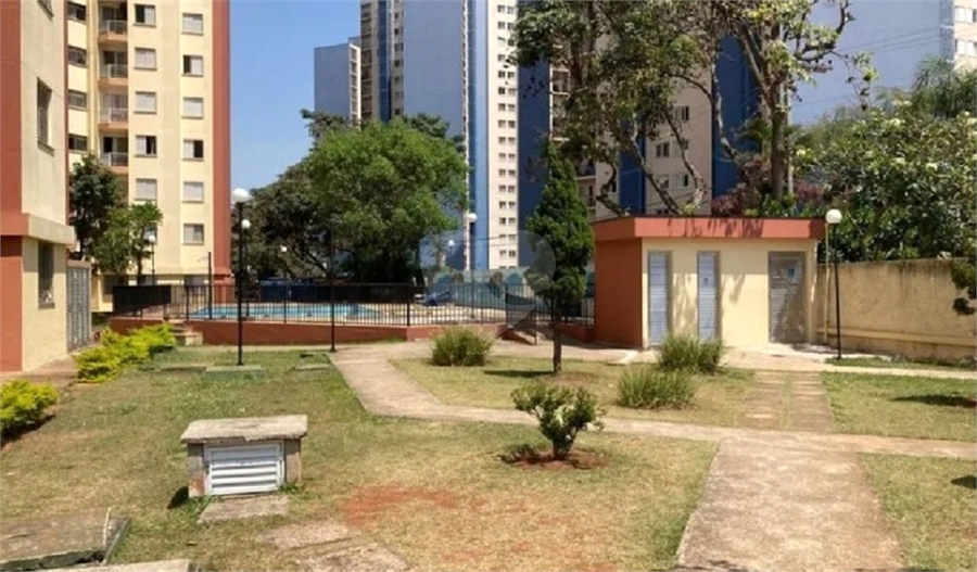 Foto REO1004350
