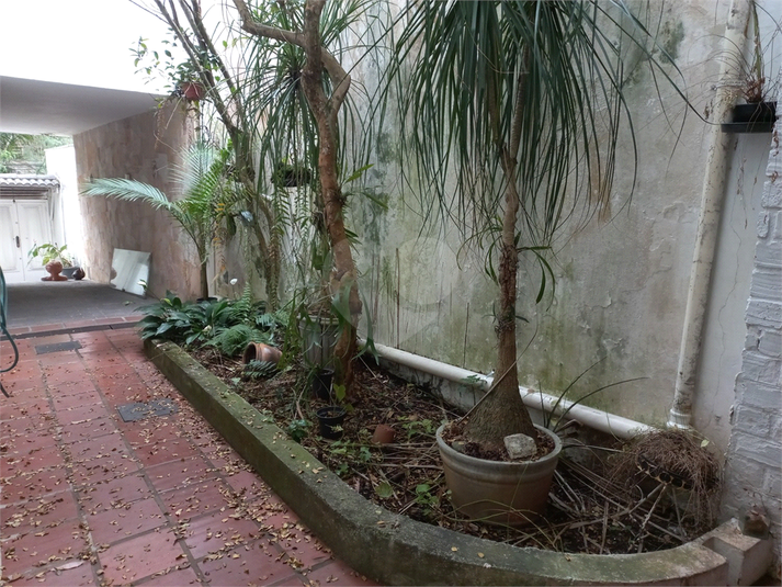 Foto REO1004452