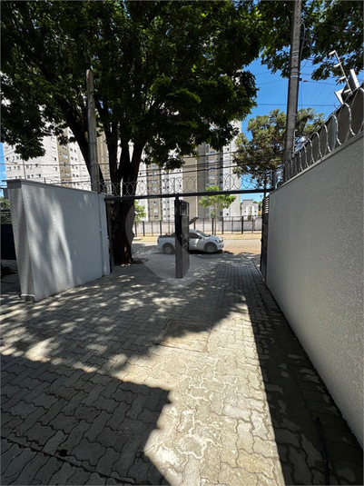 Foto REO1004524