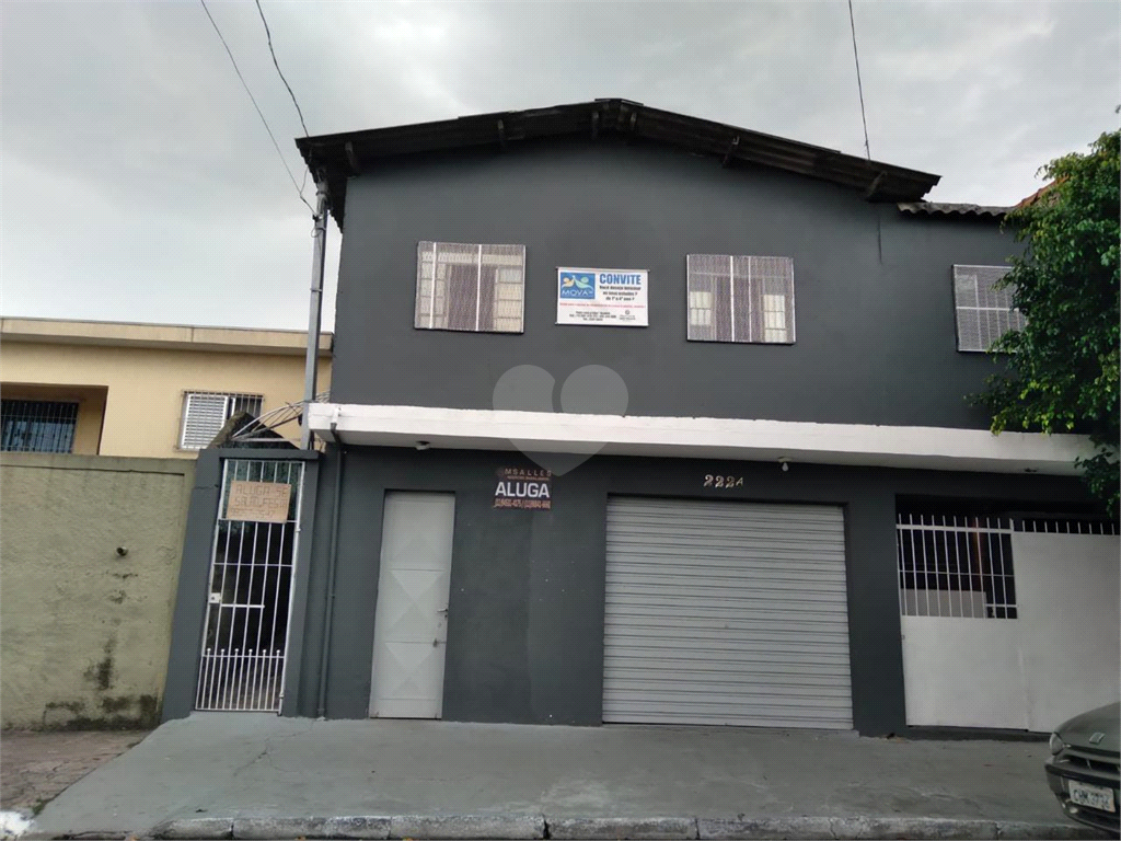Foto REO1004529