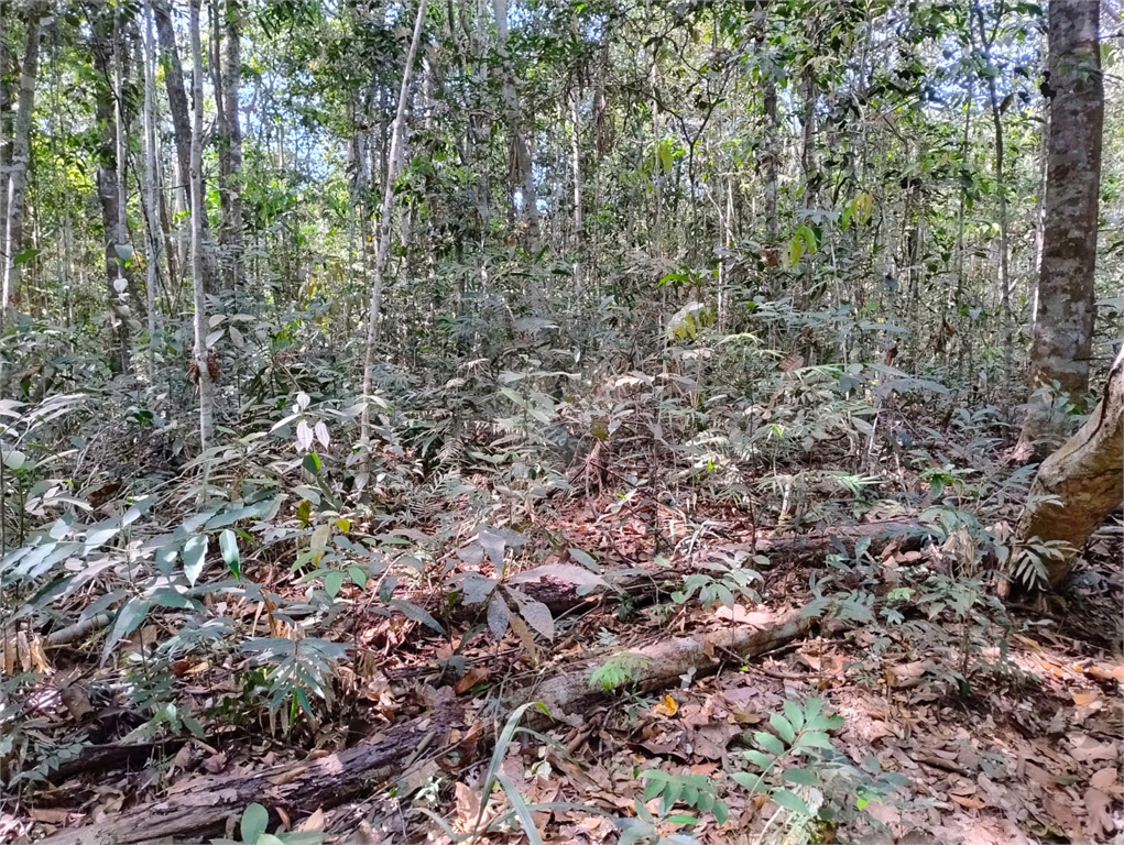 Venda Chácara Vilhena Área Rural De Vilhena REO1004625 15