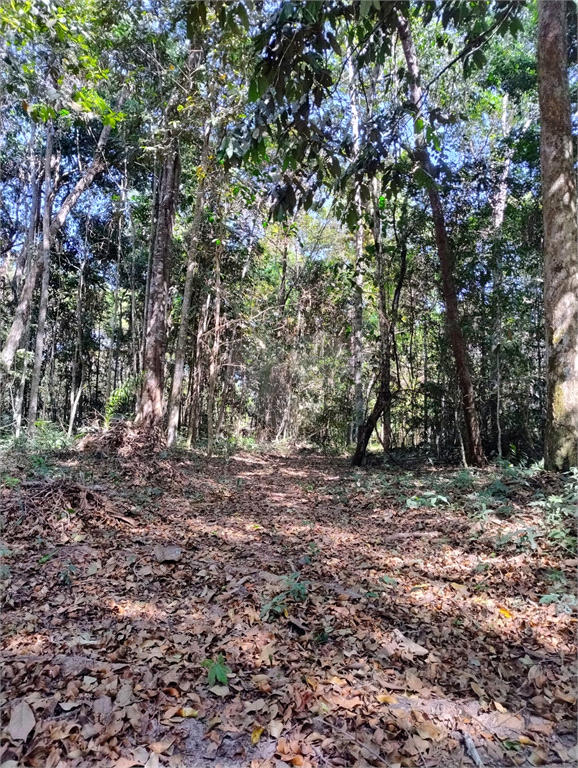 Venda Chácara Vilhena Área Rural De Vilhena REO1004625 11