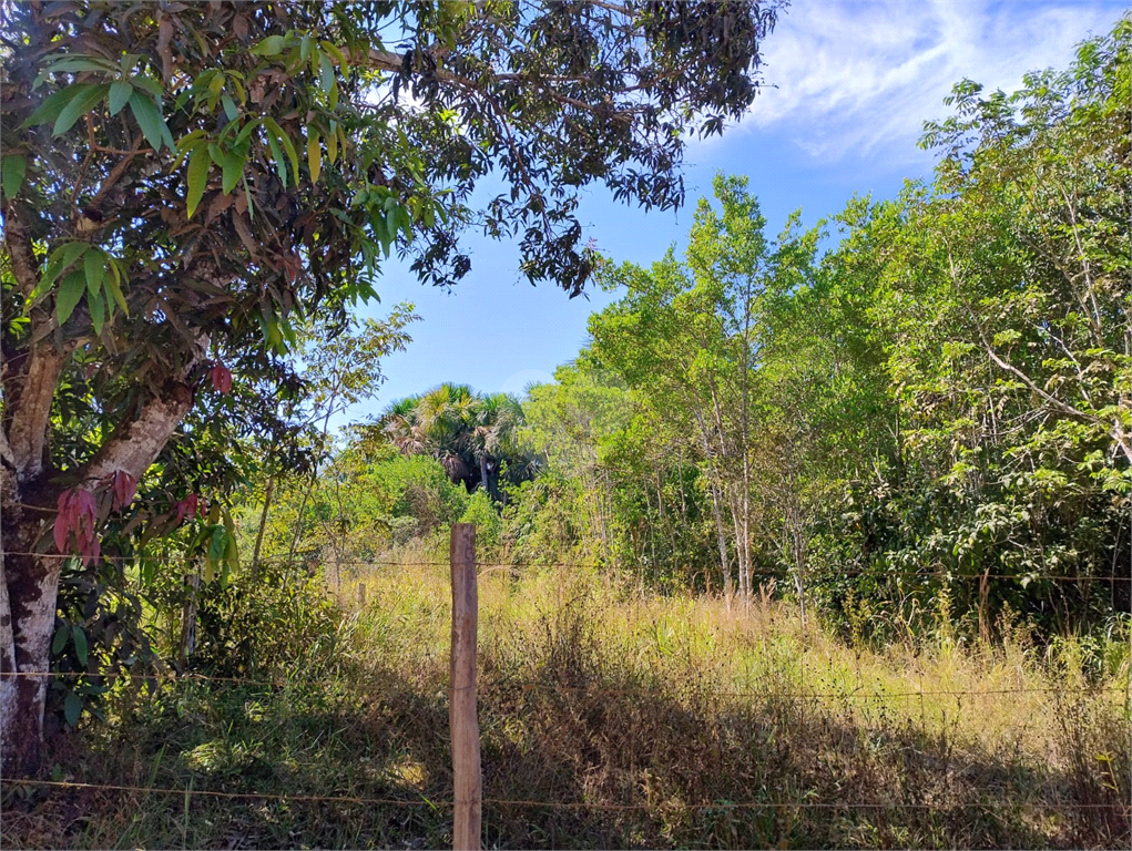 Venda Chácara Vilhena Área Rural De Vilhena REO1004625 6