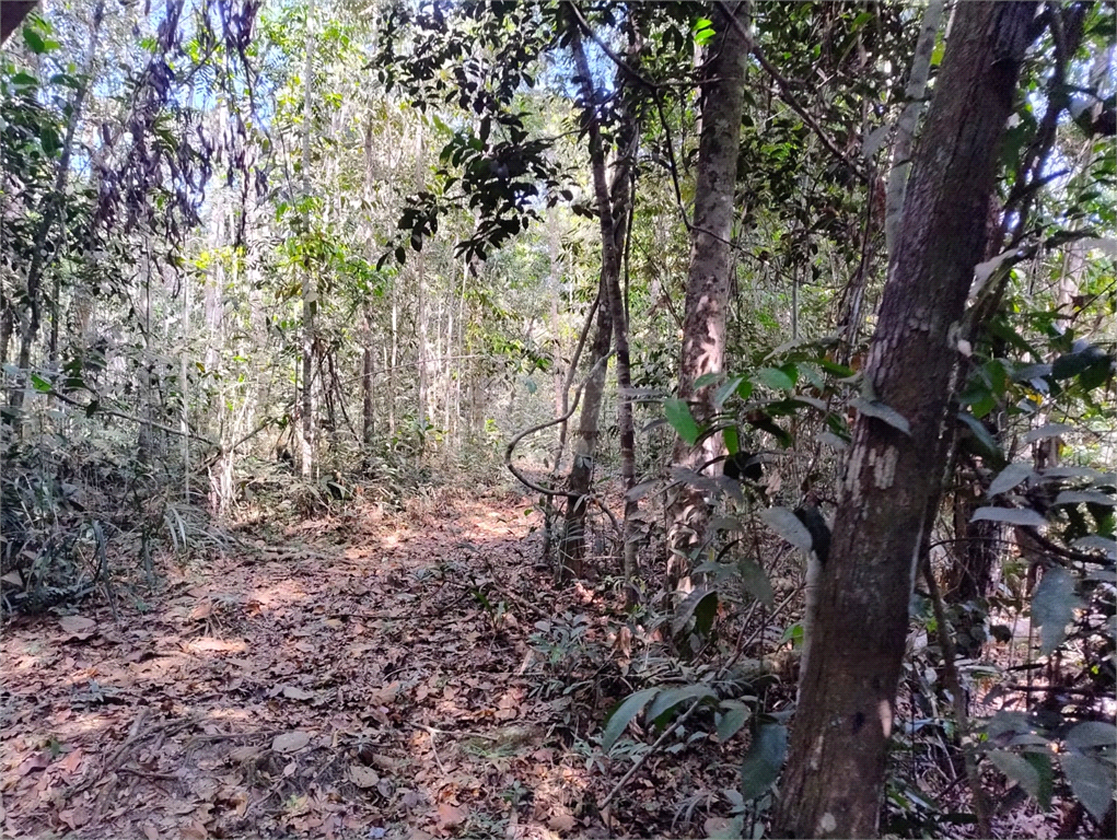 Venda Chácara Vilhena Área Rural De Vilhena REO1004625 14